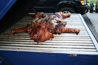 Butch's Nuttin' Butt BBQ photo 9